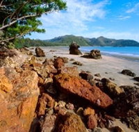 Diversity Boardwalk - Accommodation Newcastle