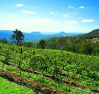 Preston Peak Wines - Accommodation Newcastle