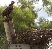 Blackall Sculpture Trail - Accommodation Newcastle