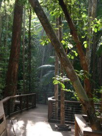 Basin Lake Track - Accommodation Newcastle 0