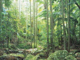 Python Rock - Accommodation Newcastle 0