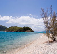 Paddle Bay Track and Campsite - Accommodation Newcastle