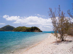 Paddle Bay Track And Campsite - Accommodation Newcastle 0