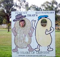 Kingaroy Lions Park - Accommodation Newcastle
