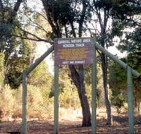 Carroll Nature Reserve Kokoda Track - Accommodation Newcastle