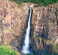 Buujan Quiinbiira Walk Wet Tropics Great Walk - Accommodation Newcastle