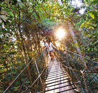 Tree Top Walkway - Accommodation Newcastle