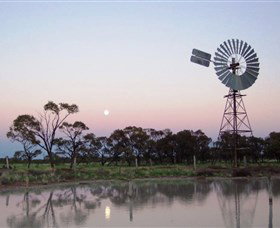 Moorrinya National Park - Accommodation Newcastle 0