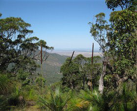 Zamia Walk - Accommodation Newcastle 0