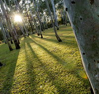 Tondoon Botanic Gardens - Accommodation Newcastle