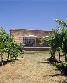 Shantell Vineyard - Accommodation Newcastle 0