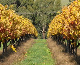 Wild Dog Winery & Restaurant - Accommodation Newcastle 0