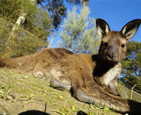 Mount Bolton VIC Accommodation Newcastle
