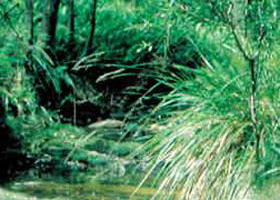 Blackwood VIC Accommodation Newcastle