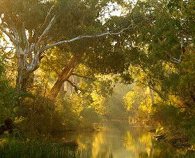 Brimbank Park - Accommodation Newcastle 0