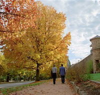 Indigo Gold Trail - Accommodation Newcastle