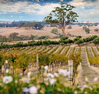 Redesdale Estate - Accommodation Newcastle