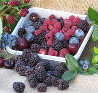 Bright Berry Farms - Accommodation Newcastle