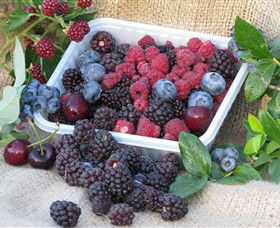 Bright Berry Farms - Accommodation Newcastle 0