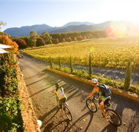 Boyntons Feathertop Winery - Accommodation Newcastle