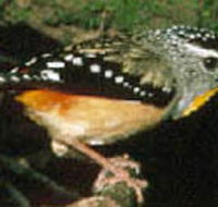 Reef Hills State Park - Accommodation Newcastle