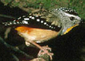 Reef Hills State Park - Accommodation Newcastle 0