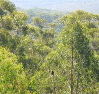 Bunyip State Park - Accommodation Newcastle