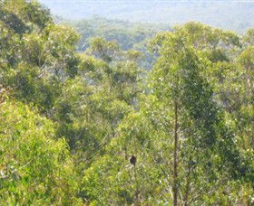 Bunyip State Park - Accommodation Newcastle 0