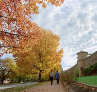 Beechworth Historic Park - Accommodation Newcastle