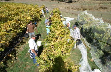 Blakes Estate Winery - Accommodation Newcastle 0