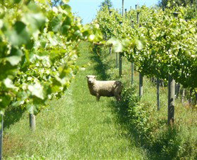 Passing Clouds - Accommodation Newcastle 0