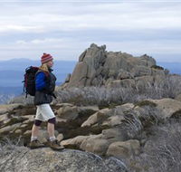 Mount Buffalo National Park - Accommodation Newcastle