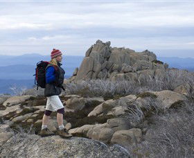 Mount Buffalo National Park - Accommodation Newcastle 0