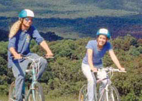 Lysterfield VIC Accommodation Newcastle