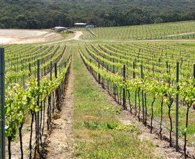 M Chapoutier Australia - Accommodation Newcastle 0