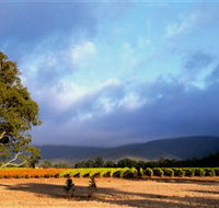 Mount Avoca - Accommodation Newcastle