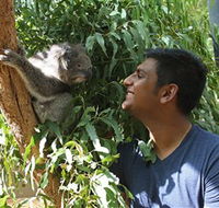 Healesville Sanctuary - Accommodation Newcastle