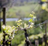 Eldridge Estate of Red Hill - Accommodation Newcastle