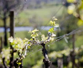 Eldridge Estate Of Red Hill - Accommodation Newcastle 0