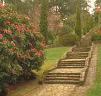 Maroondah Reservoir Park - Accommodation Newcastle