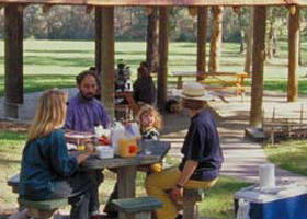Mcmahons Creek VIC Accommodation Newcastle