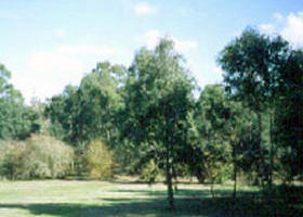 Sweeneys Flat - Accommodation Newcastle 0