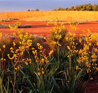 Royal Botanic Gardens Victoria Cranbourne - Accommodation Newcastle