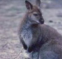 Churchill National Park - Accommodation Newcastle