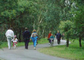 Birrarrung Park - Accommodation Newcastle 0