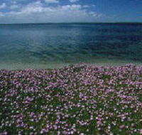 The Lakes National Park - Accommodation Newcastle