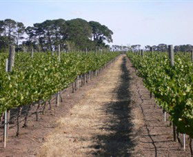 Mount Beckworth Wines - Accommodation Newcastle 0
