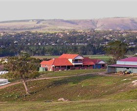 Bacchus Hill Winery - Accommodation Newcastle 0