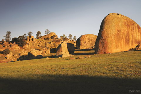 Fowles Wine - Accommodation Newcastle 3