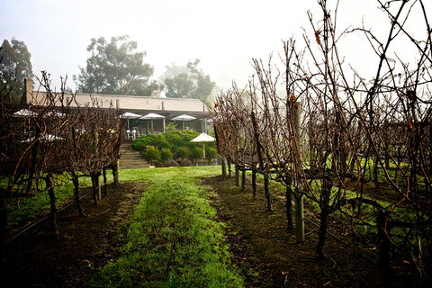 GREENSTONE VINEYARDS - Accommodation Newcastle 4